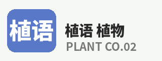 抖荫短视频