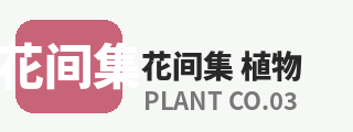 抖荫短视频