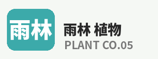 抖荫短视频