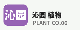 抖荫短视频